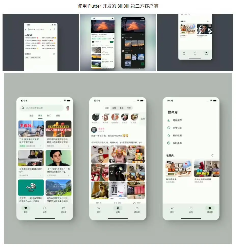 B站第三方客戶端PiliPala開發(fā)者收侵權(quán)告知函,宣布停止更新