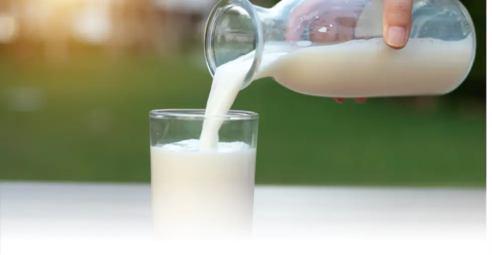 AI不僅成為乳企們應(yīng)對周期性波動的“對沖工具”,更是其在存量競爭中實現(xiàn)差異化競爭的關(guān)鍵手段 圖片