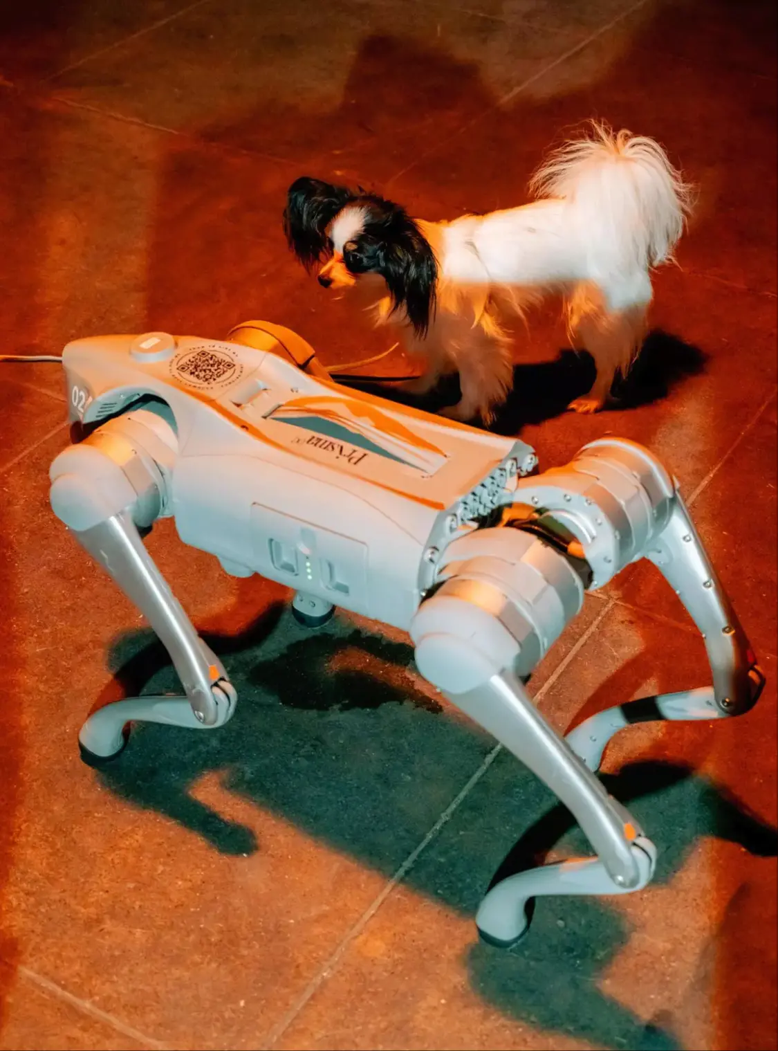 波士頓動(dòng)力機(jī)器狗Spot