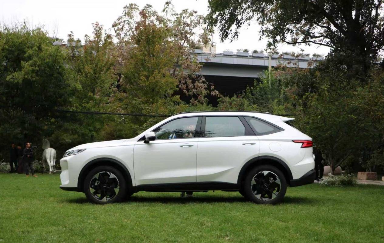 11月重磅車:BBA發(fā)力了,準備彎道超車新勢力?