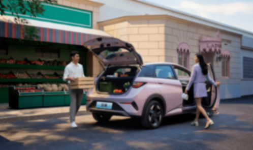 百萬海豚:一場“精品化”革命與一個時代的答案